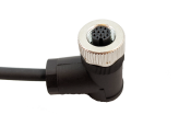 Picture of a M12 12-pin male cable head