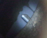 Inspection of probe in drum