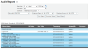 Audit Report screen